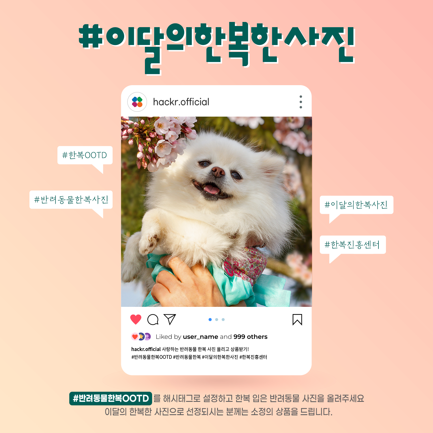 카드 이미지