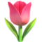 꽃